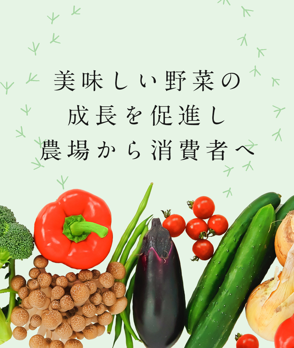 美味しい野菜の成長を促進し農場から消費者へ